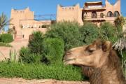 Kasbah Le Mirage & Spa