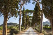 L'Andana Tenuta La Badiola